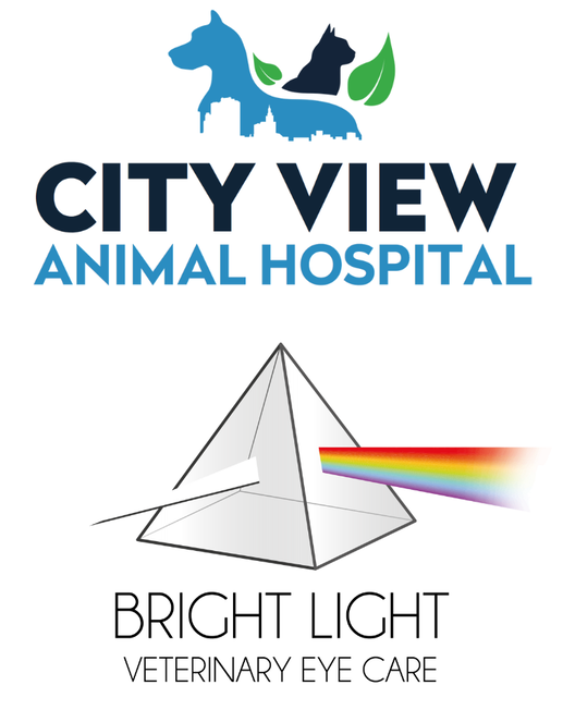 City View Animal Hospital - Home